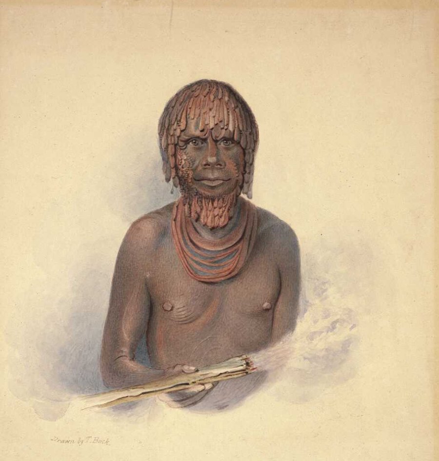 Portrait of Mannalargenna, chief of the eastern coast of Van Diemen's Land, painted by Thomas Bock in the 1830s